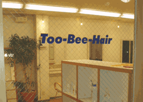 Too-Bee-Hair ǎX